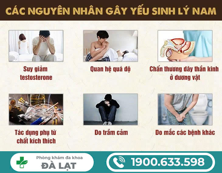 Hình ảnh minh họa